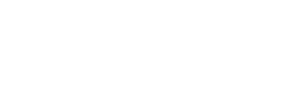 American Pro Group